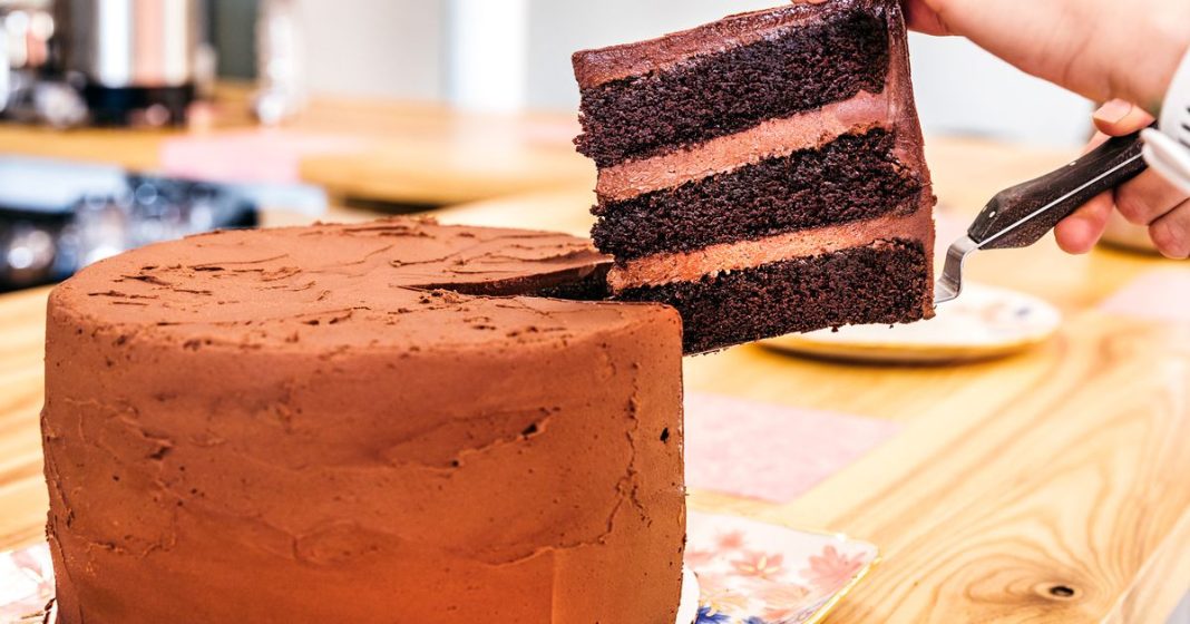yes,-‘the-bear’-chocolate-cake-tastes-as-decadent-as-it-looks